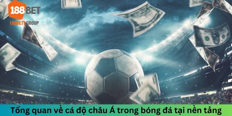 Tổng quan về cá độ châu Á trong bóng đá tại nền tảng